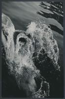 1953 Beliczay Pál: Hátúszó, jelzetlen vintage sportfotó a szerző hagyatékából, 15x23 cm