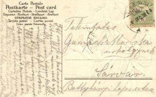 New Year, pig Emb. litho