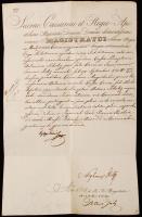 1832 Eötvös Ignác (1786-1851) jogtudós, író, politikus saját kézzel aláírt hivatalos kancelláriai le...