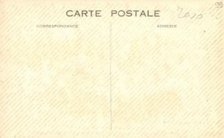 Aérodrome du Bourget-Dugny; Avion de Détroyat, acrobate civil, Morane-Saulnier - Moteur Salmson 230 ...