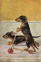 Dogs, roller, 351/1728.