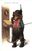 Dackel hier! Wer dort? / Dachshund dog, telephone, No. 3913. (EK)
