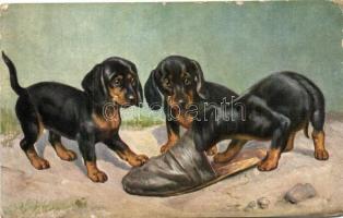 Puppies O.G.Z.L. 360/1762. (fa)