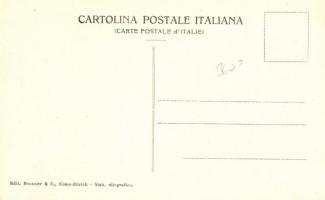 Lago di Como - Olivi / Italian olive picker man