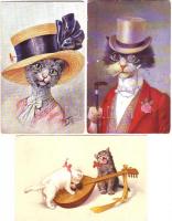 Macskák 17 db / Katzen, 17 Stk