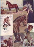 Lovak 25 db / Pferde, 25 Stk.