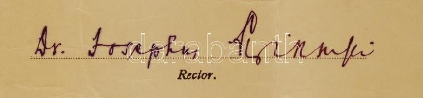 1923 A Pázmány Péter Tudományegyetem díszes jogi doktori kinevezési oklevele, rányomott szárazpecsét...