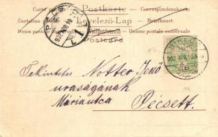 Dogs, Koch & Bitriol litho