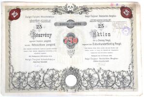 Budapest 1935. "Salgó-Tarjáni Kőszénbánya Részvény-Társulat" részvénye egyenkéknt 30P-ről, összesen 750P-ről, szárazpecséttel, bélyegzéssel és szelvényekkel T:III