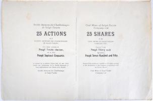 Budapest 1935. "Salgó-Tarjáni Kőszénbánya Részvény-Társulat" részvénye egyenkéknt 30P-ről,...