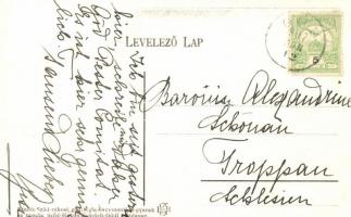 Göd, Nemeskéri-kúria, nyaralótelep