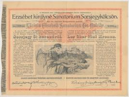 Budapest 1904. Erzsébet királyné Sanatorium Sorsjegykölcsön sorsjegye 5K-ról, szárazpecséttel (6x) egymás utáni és egyugrású sorszámokkal T:II