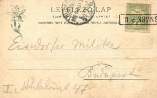 Késmárk, Evangélikus templom, Feitzinger Ede 1902/12 / church