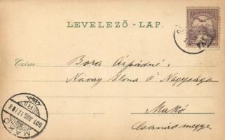 Selmecbánya, Bányászati és erdészeti akadémiai paloták; Mákonyi Pál kiadása No. 6623 / academy of ag...