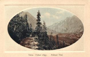 Tátra, Felkai-völgy; kiadja Krompecher E. M. fiai / Felkaer Thal