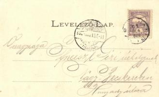 Alibunár, Rechnitzer udvari fényképész