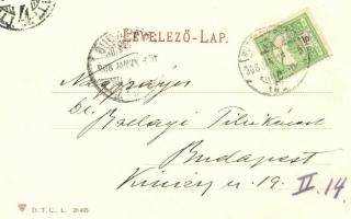 Szepesi vár / castle