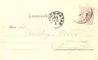 1899 Gödöllő, Országút; Pick testvérek kiadása