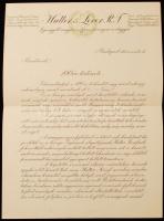 Hutter és Lever R.T. története 1831-1931. A borítón: Egy évszázad története.
Bp., 1931, Globus ny. 7...