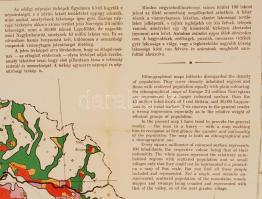 1919 Magyarország néprajzi térképe az 1910. évi népszámlálás alapján, Kogutowicz Károly, Magyar Föld...