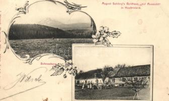 Hochrotherd, Schneeberg; August Schöny's Gasthaus 'zur Aussicht'; floral