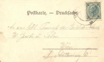 Hochrotherd, Schneeberg; August Schöny's Gasthaus 'zur Aussicht'; floral