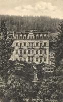 Marianske Lazne, Marienbad; Hotel Wagner (gluemark)
