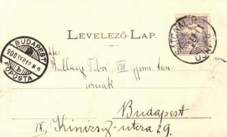 Nagykövesd, Rákóczi-vár romjai