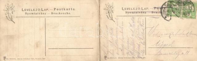 Rózsahegy, Feitzinger Ede No. 893./IIa L., panoramacard (fl)