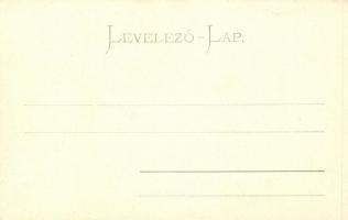 Sztrecsnó, Vág-völgye; Vár, Gansel Lipót kiadása / castle