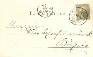 Herkulesfürdő, Ferenc József I. Károly román és I. Sándor szerb királlyal való találkozásának emléke...