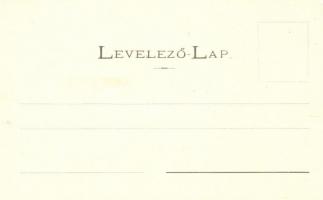 Iglófüred, Hungária, Tátra, Nagy fürdőház; kiadja Wlaszlovits Gusztáv / spa houses