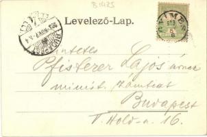 Gyimes, határlépcső / border, Rákóczi castle stairs and customs officers