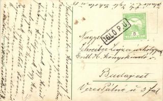 Igló, Sétatér a Vigadóval; Ferencz D. kiadása / promenade, redoute