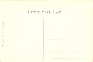 1911 Algyógy, Vasgyári szanatórium megnyitása; Adler fényiroda Szászváros / opening of the iron work...