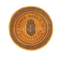 cca 1890 Érsekújvár Dr. Rába Endre M. kir. közjegyző pecsétje d: 4,5 cm