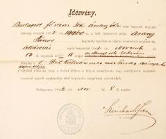 1882 Idézvény Arany János hagyatékának leltározására, lánya, Arany Piroska részére