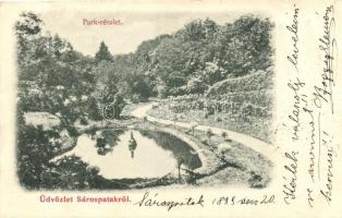 1899 Sárospatak park