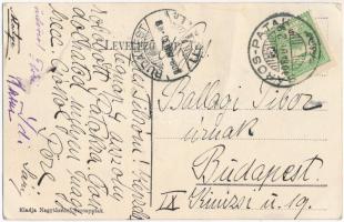 Sárospatak, Rákóczi vár (fa)