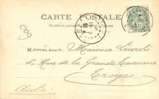 Lady in exotic dress; Art Nouveau