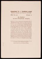 cca 1935-1940 Joseph Goebbels, német propagandadaminiszter emberei kíséretében, náci propagandanyomt...