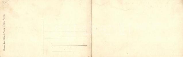 Fogaras, panoramacard; Photogr. Leo Palliardi, Verlag J. Járos