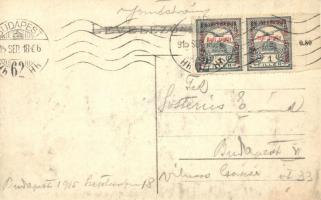 Budapest XIV. Vajdahunyad vára; címer, zászló / coat of arms, flag