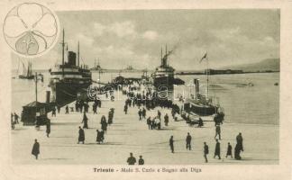 Trieste, pier S. Carlo, dam