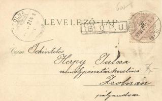 1899 Winter, H & S Serie IV No. 29, litho