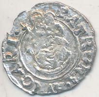 1627K-B Denár Ag "II. Ferdinánd" (0.46g) T:2- ph.
Huszár: 1204., Unger II.: 917.a