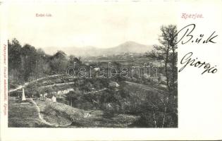 Eperjes, Erdei lak, emlékoszlop; kiadja Divald / forest house (EK)