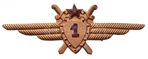 ~1970. "I. osztályú repülőgép-vezető jelvény" aranyozott, zománcozott jelvény, cserélt tűvel (66x23mm) T:2 Hungary ~1970. "First class pilot badge" gilt, enamelled badge with repaired pin (66x23mm) C:XF