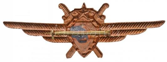 ~1970. "I. osztályú repülőgép-vezető jelvény" aranyozott, zománcozott jelvény, cserélt tűv...