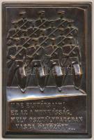 Kiss Nagy András (1930-1997) 1977. "De elvtársaim! Ez az a munkásság, mely osztályharcban vasba öltözött... / Emlékül a Munkásőrség alapító tagjának a Munkásőrség országos parancsnokától 1977. II." Br emlékplakett (105x72mm) T:2